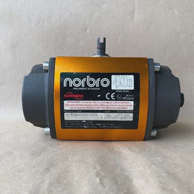 Flowserve Norbro 10RDB401SD1EOD Pneumatisch Stellmotor 40R