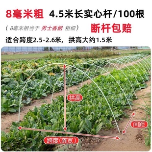 玻璃钢纤维杆拱杆小拱棚支架蔬菜大棚骨架保温棚爬藤架菜地秧苗架