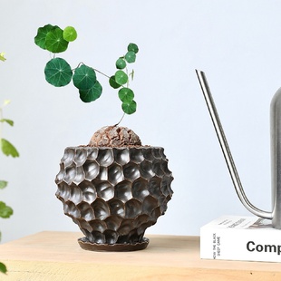 植物盆有孔家居创意桌面摆件现代花盆陶瓷高级感带底托 黑金榴莲款