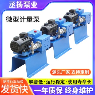 置泵 厂家供应微型计量泵不锈钢计量泵流量可调耐酸碱加药装