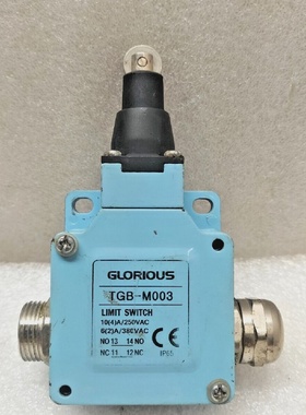 Interrupteur De Limite Glorious TGBM003