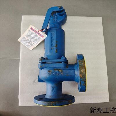 LESER德国莱斯安全阀DN40PN40Type44议价商品