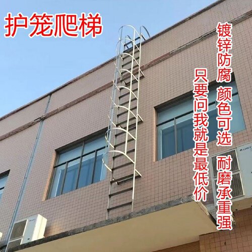 玻璃钢爬梯护笼镀锌钢爬梯安全爬梯防腐保护直梯铁梯刷漆拉挤型