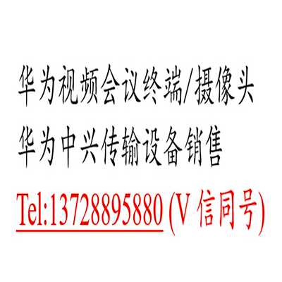 华为TN19LSC    带一个34061019光模块，一个