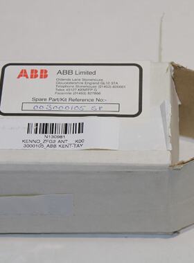 ABBZFG2锆石氧探头测量头3000105全新
