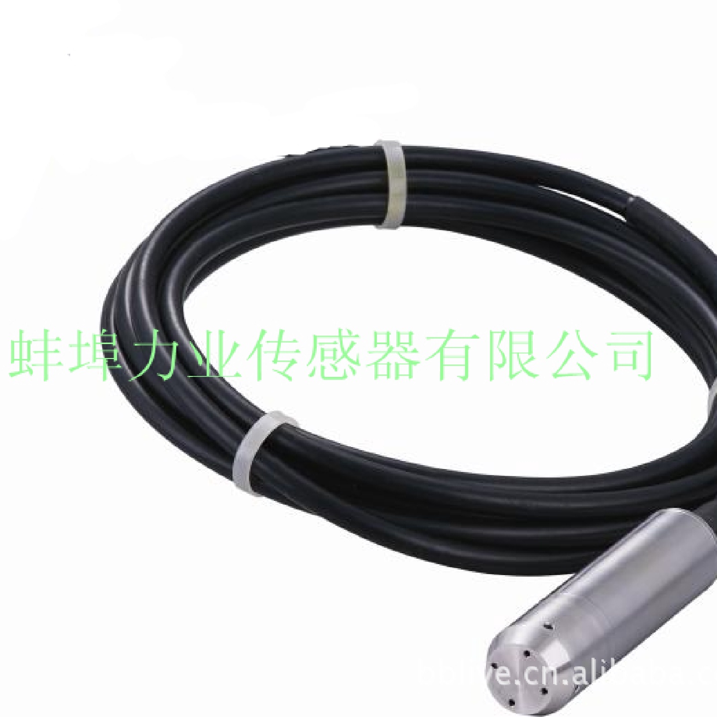 PT311型投入式液位传感器电容式压力传感器投入式液位传感器