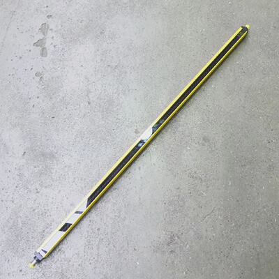 SICK C2000 C20E090304A21 1018109 SW V3.2 Empfnger used