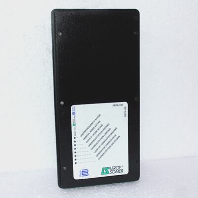 BASLER ELECTRIC LEROY SOMER DECS100 9287500132 DIGITAL EXCIT