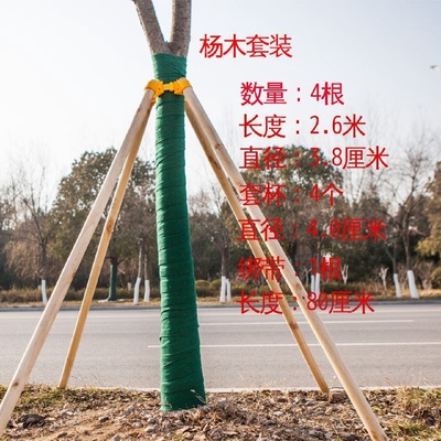 原木树干落叶松杉木杆枯树杆园林支撑杆隔断装饰河道打桩树段婚庆