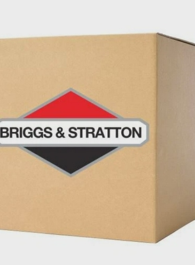 BriggsStratton202031GSCircuitBreaker2