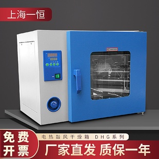 9053A电热恒温鼓风干燥箱烘箱老化箱 上海一恒DHG
