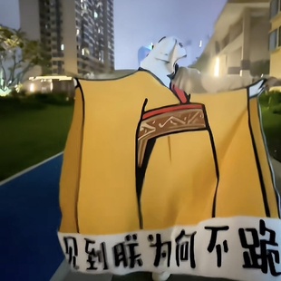 搞怪毯子宿舍送礼法兰绒午休午睡搞笑毛毯皇帝见到朕为何不跪盖毯