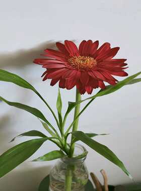 触摸屏MP270B-106AV6545-0AG10询价