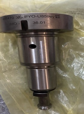 【请询价】MAN L2832柱塞型号PYO-U859ey规格36