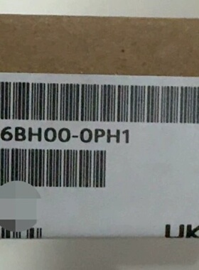 询-6DL11316BL000PH1现