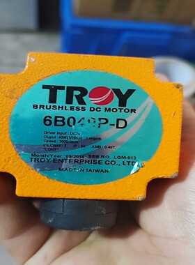 议价TROY/泰映电机 6B040P-D