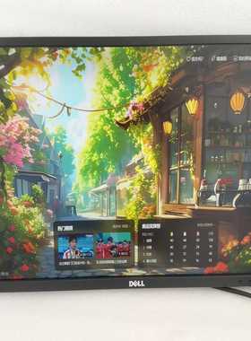 Dell/戴尔 P2417H 24寸IPS