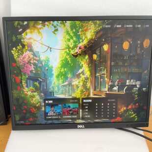 Dell/戴尔 P2417H 24寸IPS