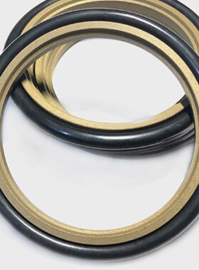 斯特封GSR/STd170*185.5*191/175*190.5/180*195.5 *201*6.3*8.1