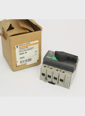 MerlinGerin28902INS633PInterrupteursectionneur63A(B9