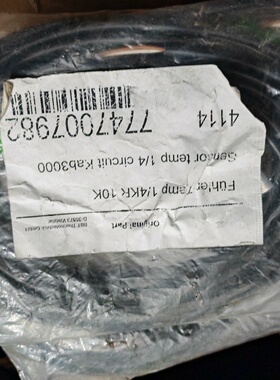 FUHLER TEMP 14KR 10K Kab3000拍前询价