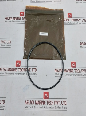 1900001-363O-Ring