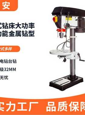 多功能立式钻床32mm工业级