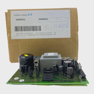 EndressHauser 50099253 Placa De Fuente De Alimentacin 2055V