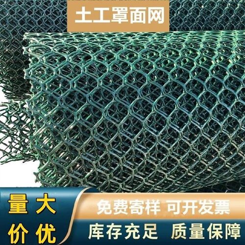 山体护坡土工网垫HDPE土工网CE131CE151罩面网爬藤网攀爬网