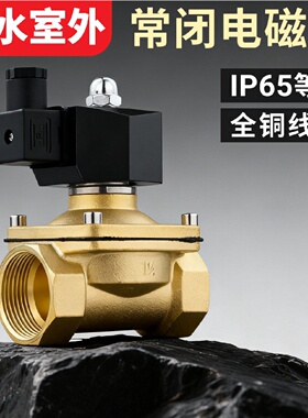 寻I室外防水电磁阀水阀开关阀220VDC24V气阀排水防雾DC12V4分6分1