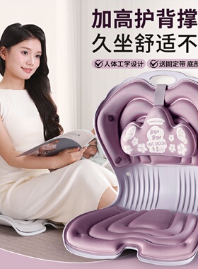 人体工学坐姿椅座椅靠垫护腰坐垫坐姿椅子加高撑腰护背坐姿矫正器
