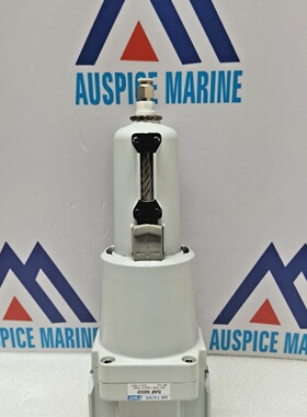 Skp SAF 600D Air Filter 9.9KGFCM2 140 Psi