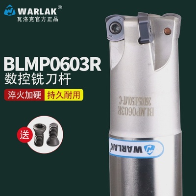 快进给双面铣刀杆BLMP0603R/TEBL06特固克BLMP0603R刀片开粗铣面