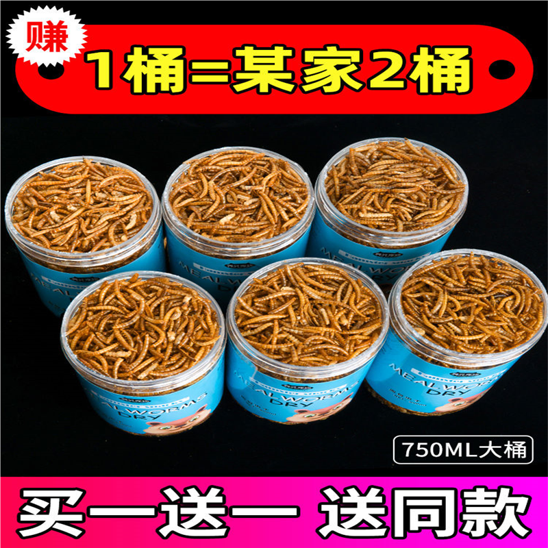 小鸭子零食面包虫干饲料柯尔鸭黄粉虫干宠物鸡鹅营养美毛仓鼠