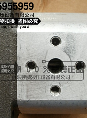 寻X意大利ATOS阿托斯齿轮泵PFG211DROPFG211D现货