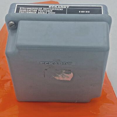 SRP981 Foxboro Eckardt Positioner Tire SRP981 6 981 610