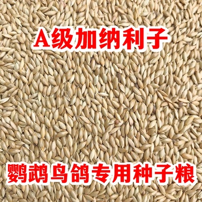 加纳利子鹦鹉鸟粮虎皮零食牡丹玄凤专用饲料小太阳加纳利子鹦鹉粮