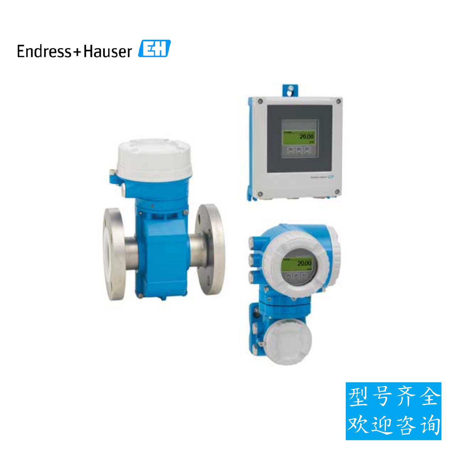 议价EH电磁流量计5P5B15-5CH1/0恩德斯豪斯P500感测器液体测量变