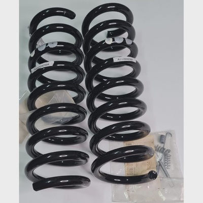 Mercedes A2023242504 Rear Suspension Coil Spring Set Left  R