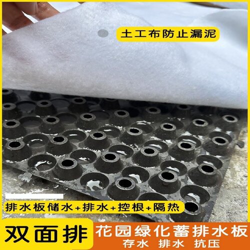 排水板滤水板屋顶绿化楼顶花池阻根地下室20高凹凸型塑料蓄排水板