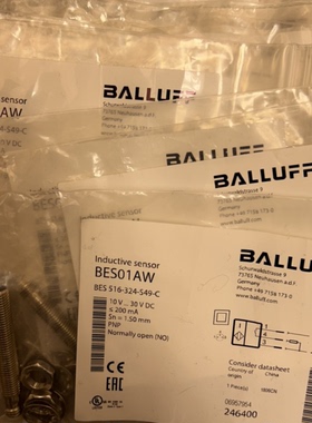 BES01AWBES516324S49C巴鲁夫原