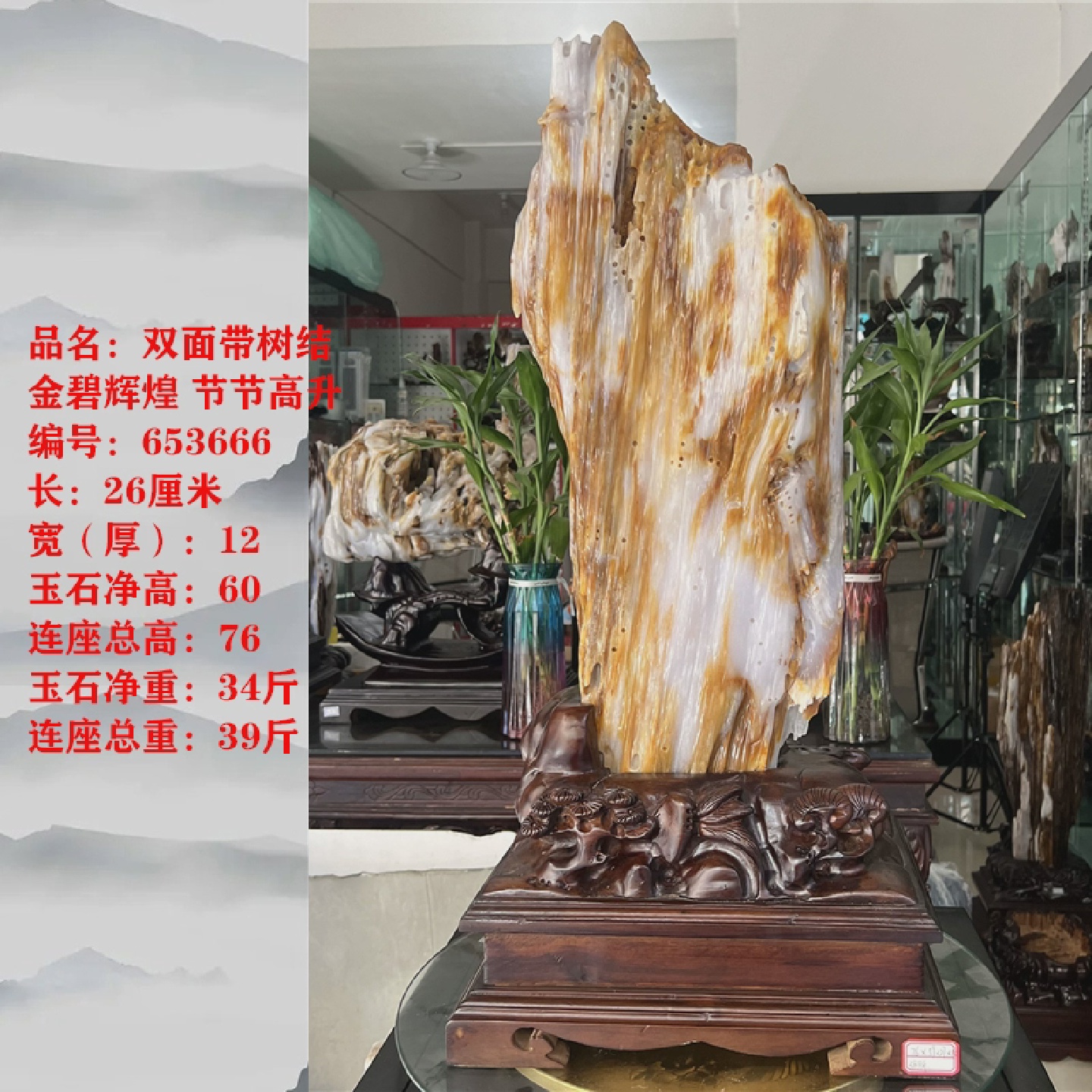 树化玉原石摆件家居客厅木化玉靠山石天然树化石书房观赏石木化石