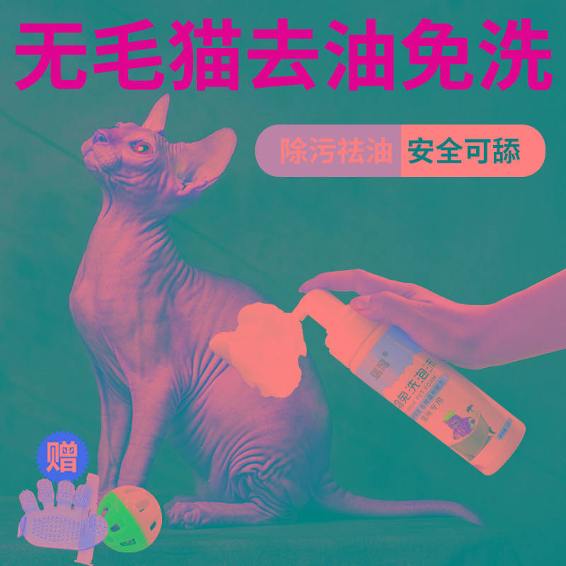 毛猫控油去油免洗泡沫慕斯洗澡神器斯芬克斯猫咪专用沐浴露