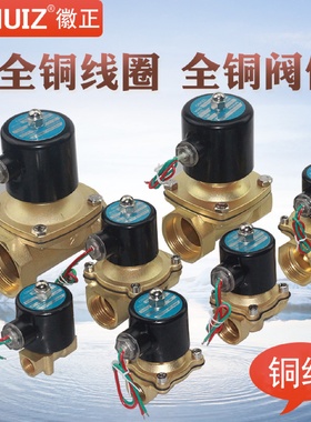 徽正2W全铜电磁阀水阀开关阀电磁控制阀电子排水阀通水阀220V24V