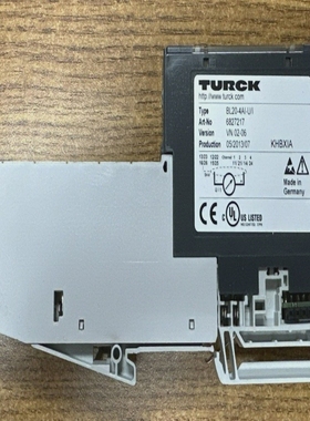 TURCKBL20-4AI-U/I4ALALOGINPUTS6827217**USEDGUARANTEED