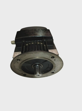 格兰富MG90LC4-24FF165-H31.5千瓦泵电机