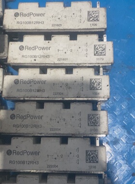 询价-RedPower RG100B12RH3