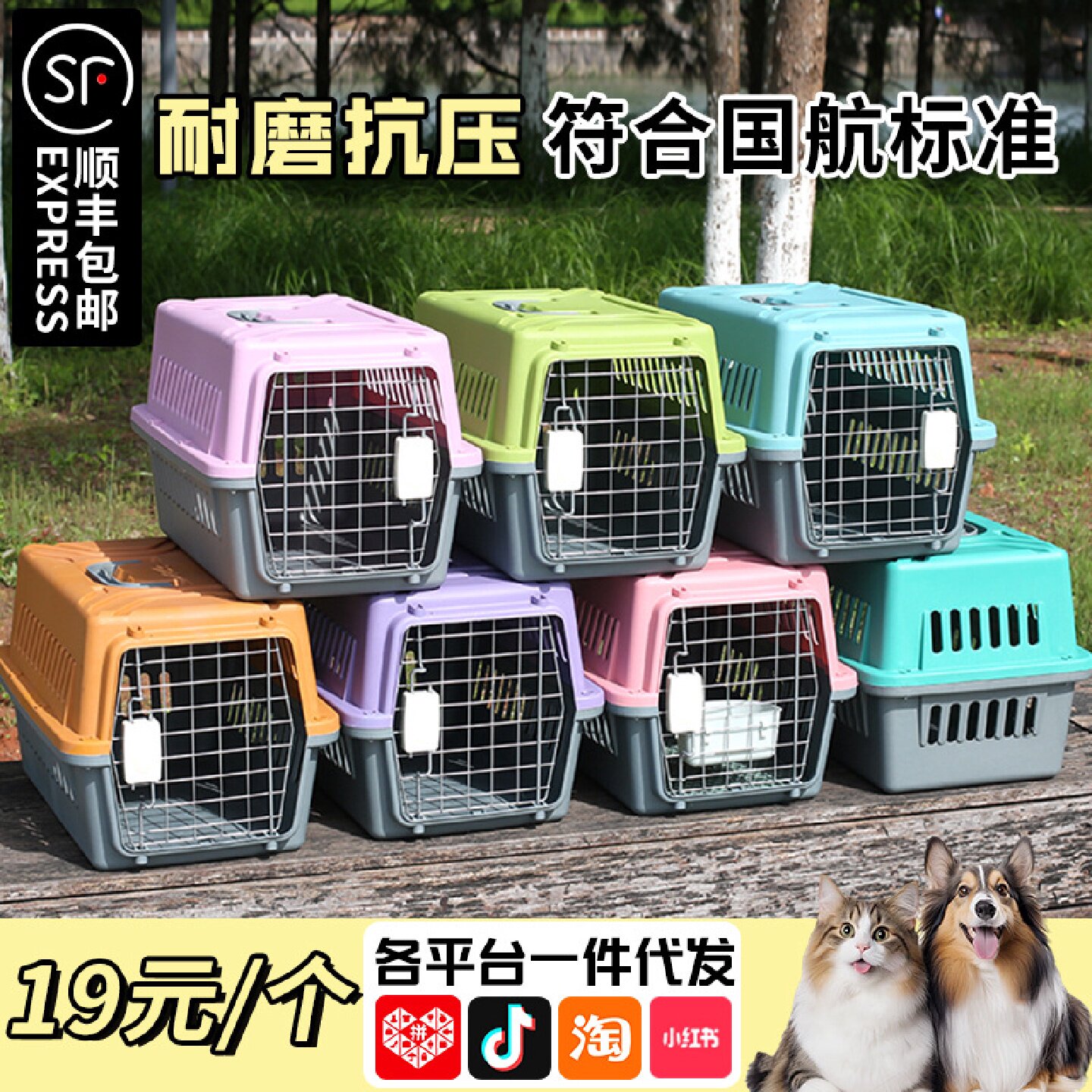 宠物航空箱猫用大号太空箱猫笼猫咪狗狗大型犬专用箱猫窝狗笼批发