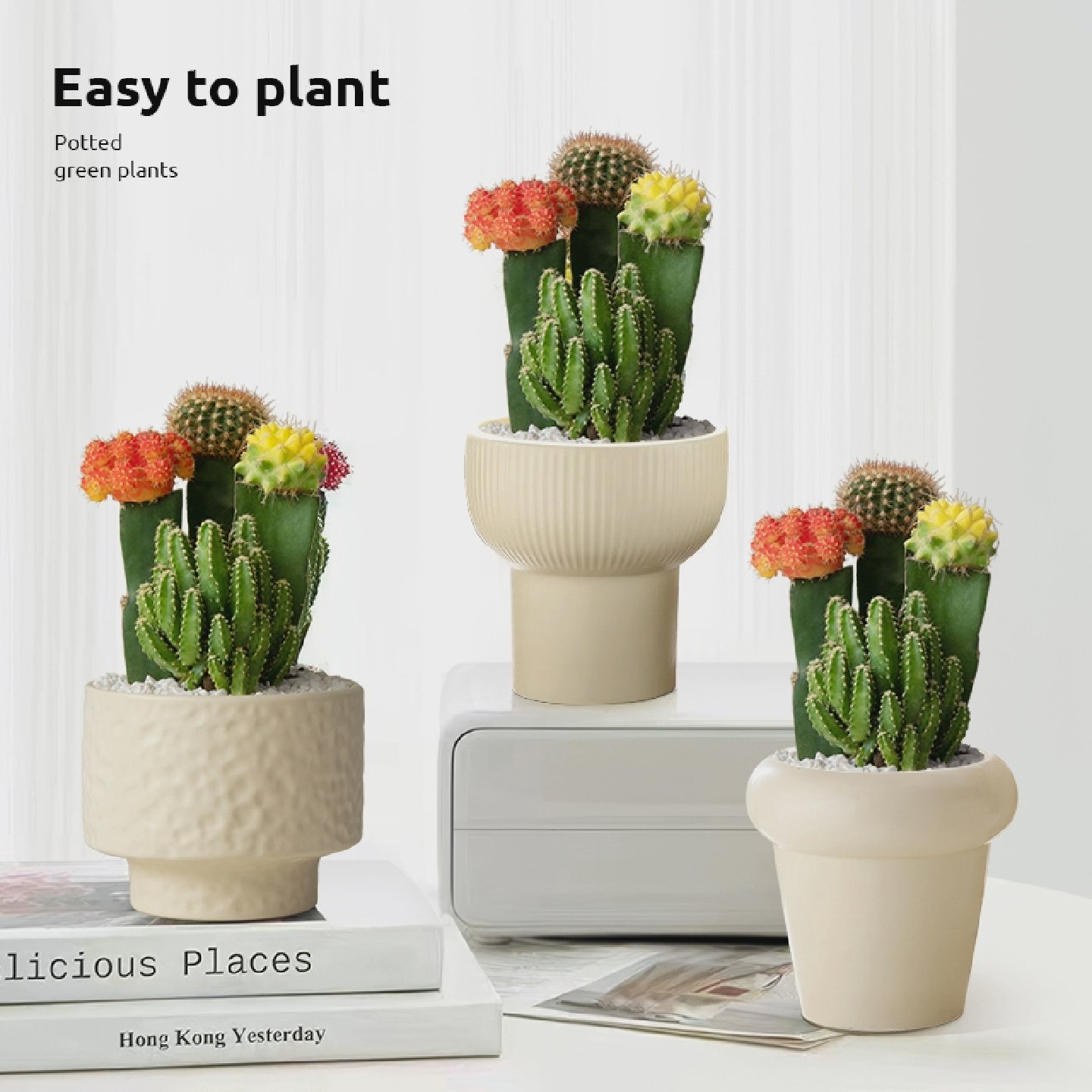 仙人掌盆栽三色球万重山桌面绿植办公室仙人球开花多肉植物小摆件