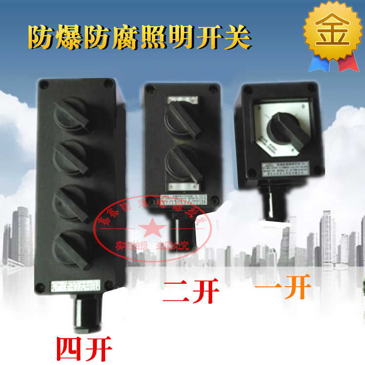 防爆防腐照明开关BZM8030-10/220防爆防腐主令控制器防爆旋钮